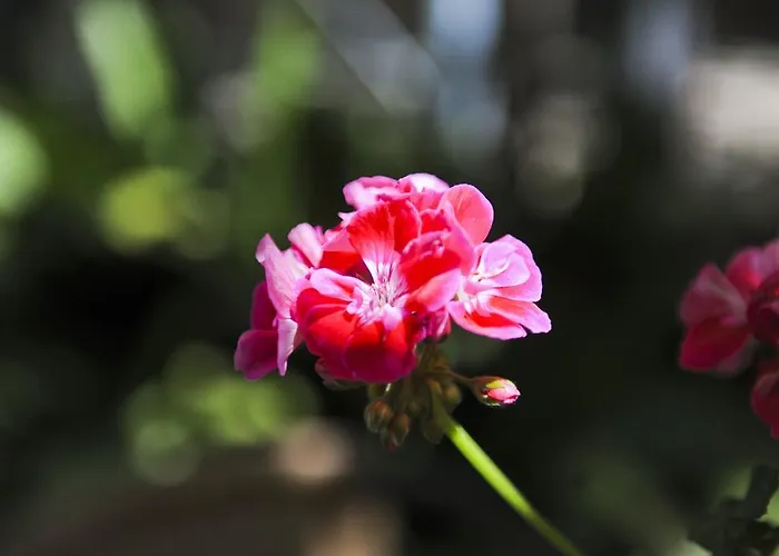 Kira Veta Διαμέρισμα Ποτός